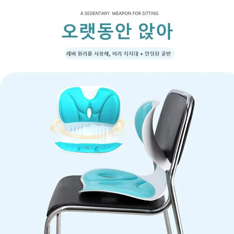 Adult Sitting Posture Correction Chair – Waist Support Cushion for Office & Long Sitting - Image 3