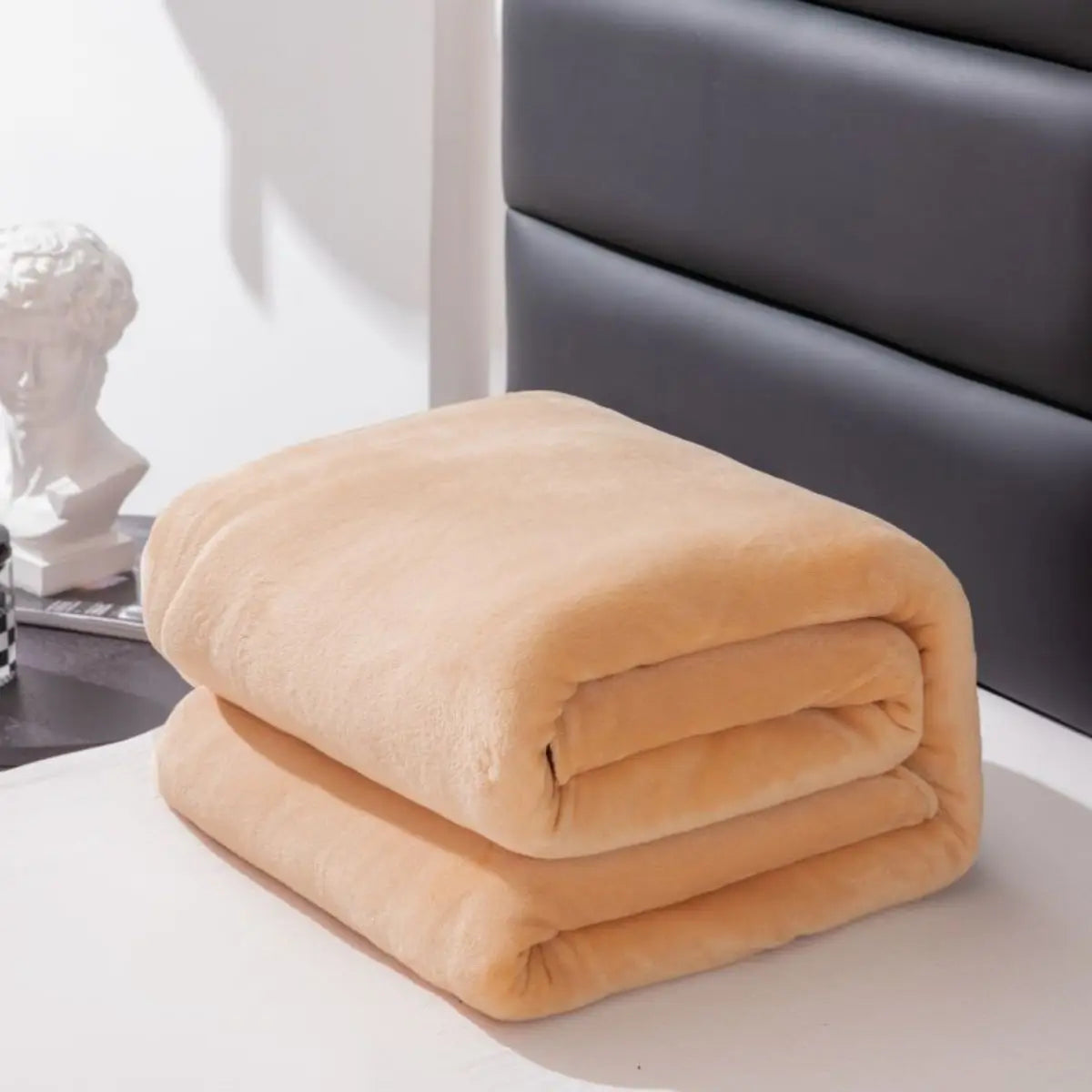 1PC Simple Plush Blanket – Thickened, Warm & Multifunctional Farley Fabric Cover - Image 9